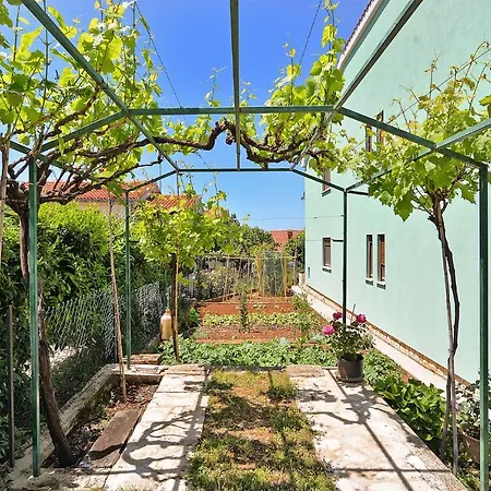 Green 390 Apartman
