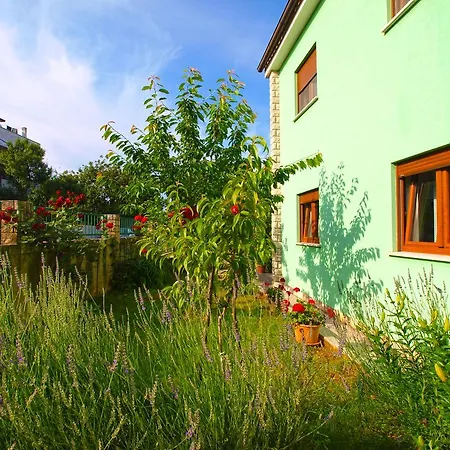 Apartman Green 390