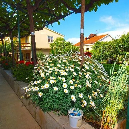 Apartments Green 390 * Stinjan