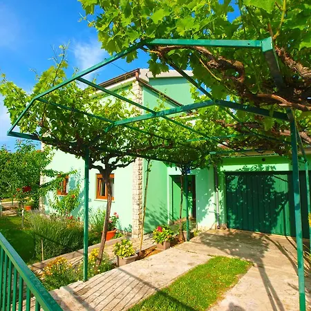 Apartment Apartments Green 390